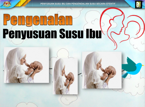 Penyusuan Susu Ibu Dan Pengendalian Susu Secara Efektif